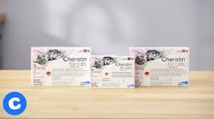 Cheristin Flea Treatment Topical For Cats Chewy Youtube