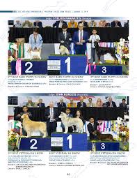 Check spelling or type a new query. Pcci 19 March Issue Flip Book Pages 51 100 Pubhtml5