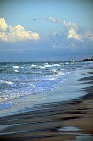 Morning Walk On The Beach Ocean Beach Beautiful Beaches Beach
