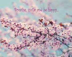 Cherry Blossom Quotes Google Search Cherry Blossom Quotes Blossom Spring Tree