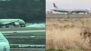 Image result for etihad airbus crash