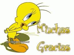Tweety Bird Muchas Gracias GIF - Tweety Bird Muchas Gracias Gracias -  Discover & Share GIFs