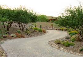 Xeriscape is beautiful, easy, and appropriate across the country. Diy Xeriscape Landscape Design Arizona Desert Xeriscape