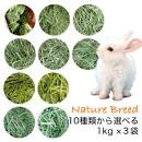「クズ苗通販　ウサギの餌　虫の餌」の画像検索結果