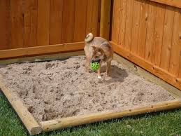 See more ideas about dog friendly garden, dog yard, dog friends. 10 Dog Friendly Landscape Ideas All County Landscape Hardscape
