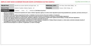 chief bank examiner resume sample