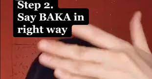 This word baka has a long history, an uncertain etymology (possibly from sanskrit or classical chinese), and linguistic complexities. What Does Baka Mean In Tiktok Creators Have Questions