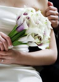 Check spelling or type a new query. Der Brautstrauss Welche Blumen Tipps Von Experten Auf Ja De