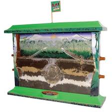 Shop Australian Geographic Ant Farms Presents For Girls Kids Gifts