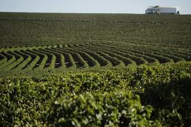 Designers also selected these stock photos. Brazil Oberon Interamerican Coffee