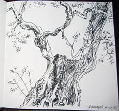 Through The Looking Glass Day 3 Olive Tree Project Wobbly Biking Alone Exploring Day Through The Looking Glass Olive Tree Landscape Drawings