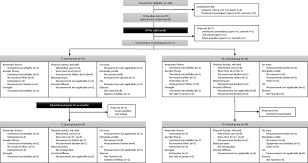 Frontiers Effects Of A School Based Sports Program On