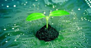 The Evolution of Green Tech