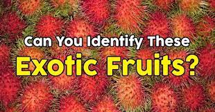 Rd.com knowledge facts nope, it's not the president who appears on the $5 bill. Can You Identify These Exotic Fruits Quizpug
