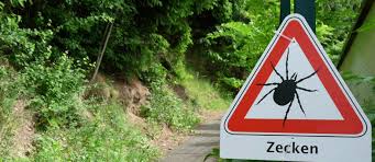 La maladie de lyme est une maladie vectorielle et une zoonose (maladie infectieuse touchant l'être humain et de nombreux animaux). Maladie De Lyme Le Grand Bazar Des Tests De Depistage Le Point