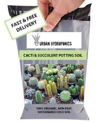 Succulent and cactus soil mix by superfly bonsai. Cactus Soil For Sale Ebay