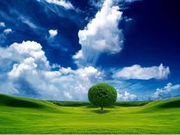 National Geographic Wallpaper Amazing Nature Wallpapers Beautiful Nature Wallpaper Nature Wallpaper National Geographic Wallpaper Find & download the most popular nature photos on freepik free for commercial use high quality images over 8 million stock photos.