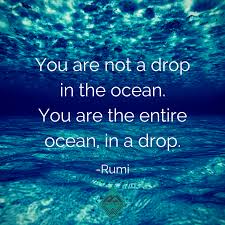 I am sure of this: The Entire Ocean In A Drop Water Drop Ocean Quotes Inspirational Motivational Check Out Our Blog At Www Wisdominwander Com