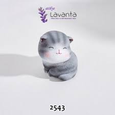 Sirin Tombul Kedi Kalibi 2020 Kedi Urunler Hayvan