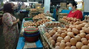 Harga ayam di palembang melonjak, minimnya peternakan jadi alasan. Harga Telur Naik Di Sejumlah Pasar Tradisional Kota Medan Tribun Medan