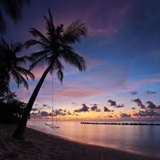 Photographic Print A View Of A Beach With Palm Trees And Swing At Sunset Kuredu Island Maldives Lhaviyani Atoll By Maldives Resort Maldives Beach Landscape