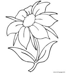 To download our free coloring pages, click on the picture of our coloring pages require the free adobe acrobat reader. Beautiful Flowers Coloring Pages Printable