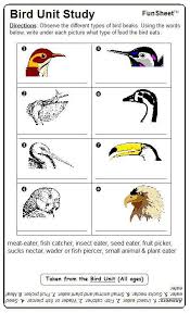 Bird Beaks Bird Beaks Bird Unit Study Birds Kindergarten Activities