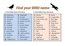 Names Birds That Start With B Pin By Lori Simms On Humor Me Flycatcher Finding Yourself First Names