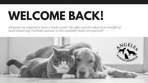 Rancho sequoia veterinary hospital 3380 e. Veterinarian In Simi Valley Ca Angeles Animal Hospital
