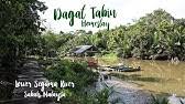 The tabin wildlife reserve (malay: Panorama Tv1 Taman Hidupan Liar Tabin Youtube
