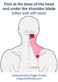 Pin On Health Medical