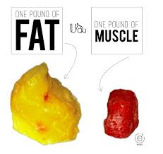 Pin On Weight Loss