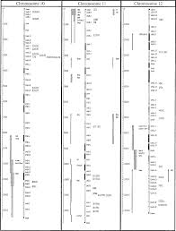 The Human Obesity Gene Map The 2002 Update Chagnon 2003 Obesity Research Wiley Online Library