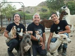 He is widely known for his television series dog whisperer with cesar. Munchen Interview Cesar Millan Hallo Zu Besuch Beim Hundeflusterer Interviews