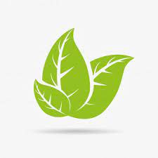 Daun batang merek tanaman, daun, daun, teks, cabang, logo png. 24 Ide Logo Daun Daun Desain Logo Desain