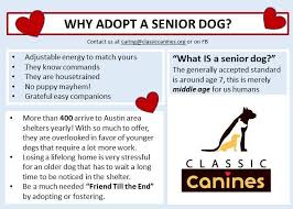 An animal shelter called austin pets alive! Classic Canines Inc Reviews And Ratings Austin Tx Donate Volunteer Review Greatnonprofits