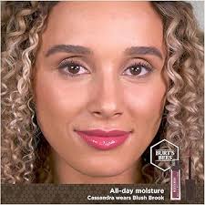 Amazon.com: Burt's Bees 100% Natural Glossy Liquid Lipstick, Blush Brook, 1  Tube : Beauty & Personal Care