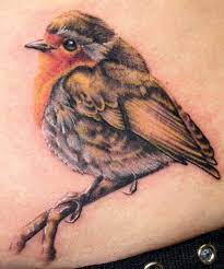 Monki Do Tattoo Studio Robin Tattoo Robin Bird Tattoos Realistic Bird Tattoo