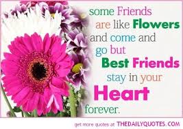 Friends Are Like Flowers The Daily Quotes Friends Forever Quotes Friends Are Like Friends Quotes