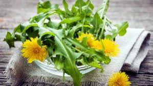 Dai profumati fiori aromatici a tisane di fiori officinali, fino a petali variopinti in insalata. Erbe Selvatiche Commestibili Ecologismo