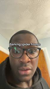 The Barking Spider