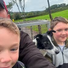 Sandra Milberg's Instagram, Twitter & Facebook