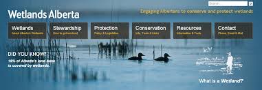 Alberta Grade 5 Science Topic E Wetland Ecosystems Wetlands Alberta Website Has A Policy And Legislation Page With A Link Wetland Science Topics Ecosystems