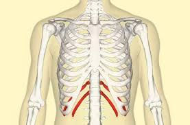 Does it make you feel like you are having a heart attack? Pain Under Left Rib Cage And Back Beauty News