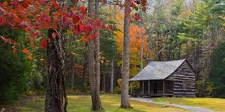 Gatlinburg rental cabins for sale. Smoky Mountain Tn Log Cabins For Sale From 100k To 200k Martyloveday Com