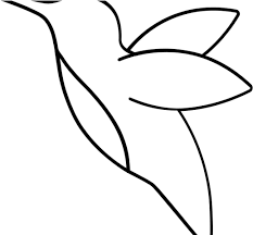 You will need paper, a pencil, pen, rubber and your choice of coloured media. Hummingbird Clipart Flower Drawing Png Download Full Size Clipart 2832910 Pinclipart