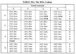 60 Logical Fluid Chart Template