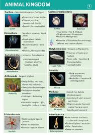 What characteristics must a robust scientific hypothesis contain? Phylum Arthropoda Characteristics Examples Solved Questions
