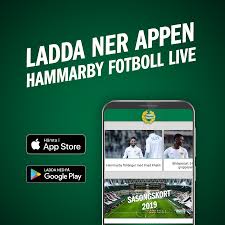 Hammarby if, även kallad bajen, är en svensk idrottsförening från stockholm med störst framgång inom fotboll och bandy. Hammarby Fotboll