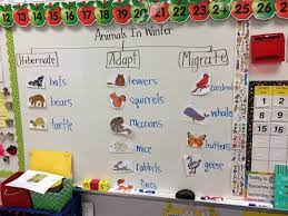 Ms Crowley S Class What Do Animals Do In Winter Winter Kindergarten Winter Animals Kindergarten Winter Preschool